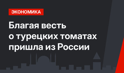 Благая весть о турецких томатах пришла из России