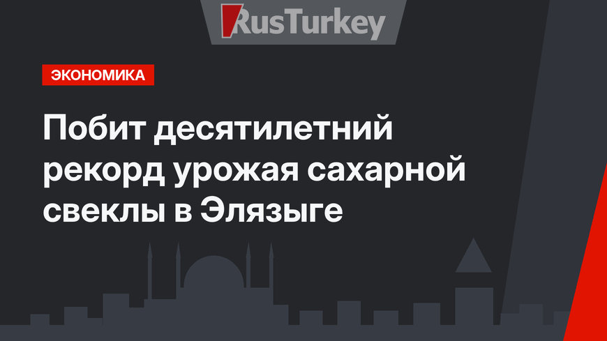 Побит десятилетний рекорд урожая сахарной свеклы в Элязыге