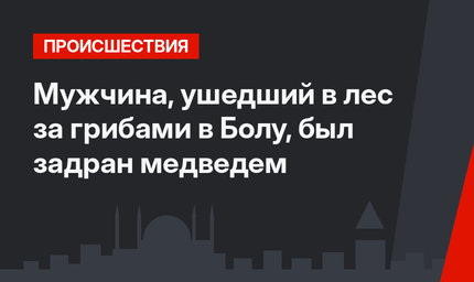 Мужчина, ушедший в лес за грибами в Болу, был задран медведем