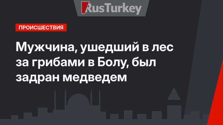 Мужчина, ушедший в лес за грибами в Болу, был задран медведем