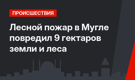 Лесной пожар в Мугле повредил 9 гектаров земли и леса