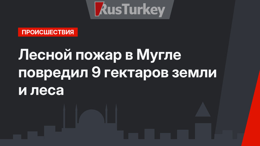 Лесной пожар в Мугле повредил 9 гектаров земли и леса