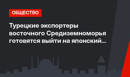 Турецкие экспортеры восточного Средиземноморья готовятся выйти на японский рынок