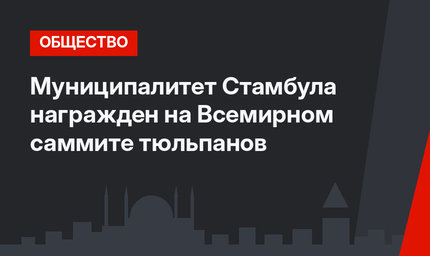 Муниципалитет Стамбула награжден на Всемирном саммите тюльпанов