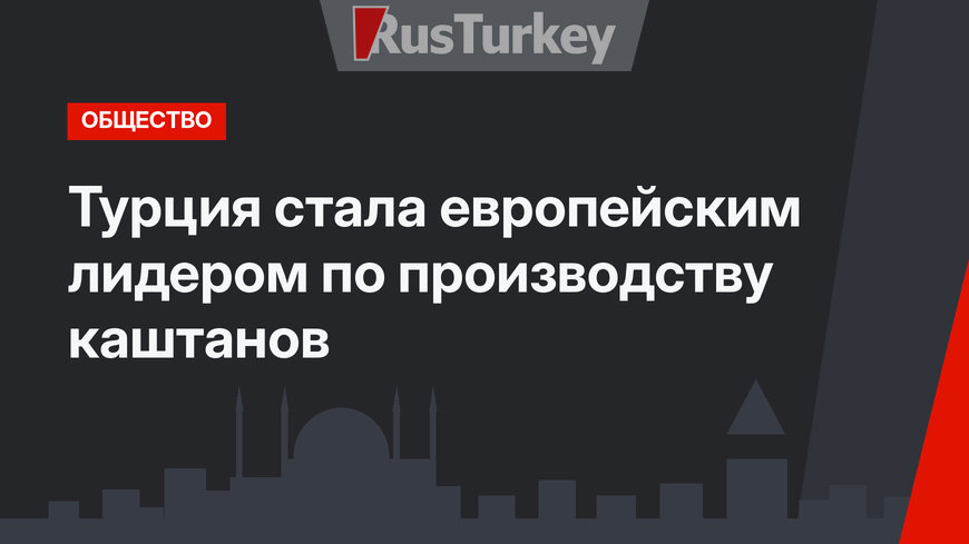 Турция стала европейским лидером по производству каштанов