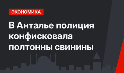 В Анталье полиция конфисковала полтонны свинины