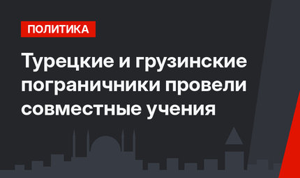 Турецкие и грузинские пограничники провели совместные учения