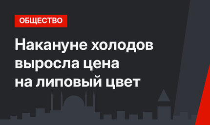 Накануне холодов выросла цена на липовый цвет
