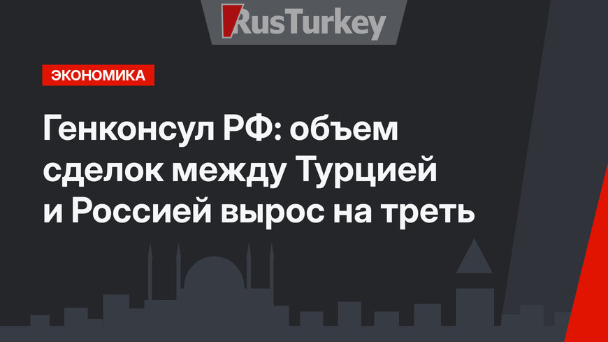 Генконсул РФ: объем сделок между Турцией и Россией вырос на треть 