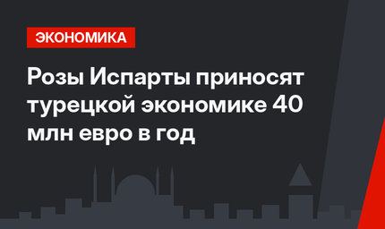 Розы Испарты приносят турецкой экономике 40 млн евро в год