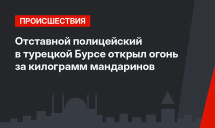 Отставной полицейский в турецкой Бурсе открыл огонь за килограмм мандаринов