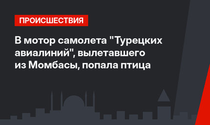 В мотор самолета "Турецких авиалиний", вылетавшего из Момбасы, попала птица 