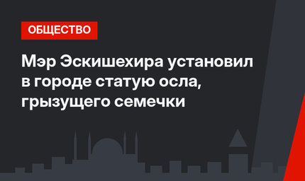 Мэр Эскишехира установил в городе статую осла, грызущего семечки