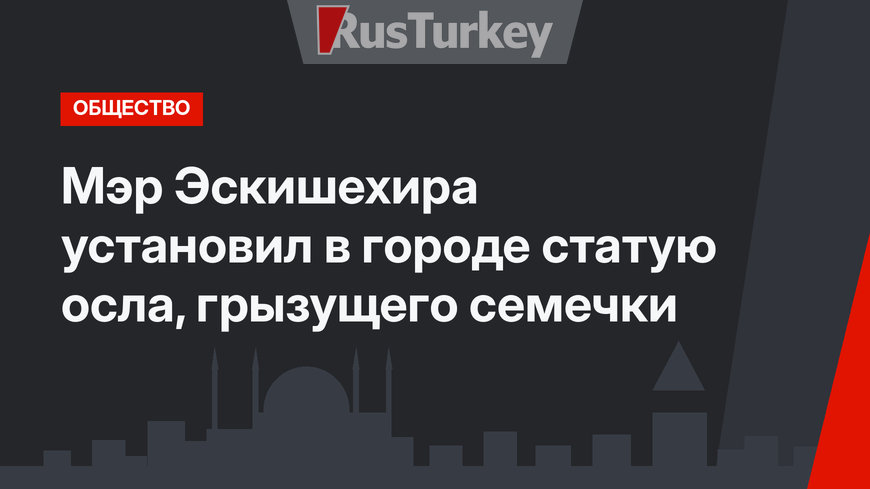 Мэр Эскишехира установил в городе статую осла, грызущего семечки