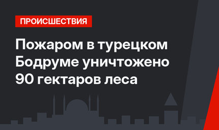 Пожаром в турецком Бодруме уничтожено 90 гектаров леса 