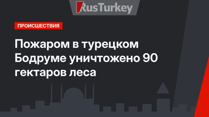 Пожаром в турецком Бодруме уничтожено 90 гектаров леса 