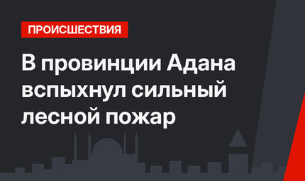 В провинции Адана вспыхнул сильный лесной пожар