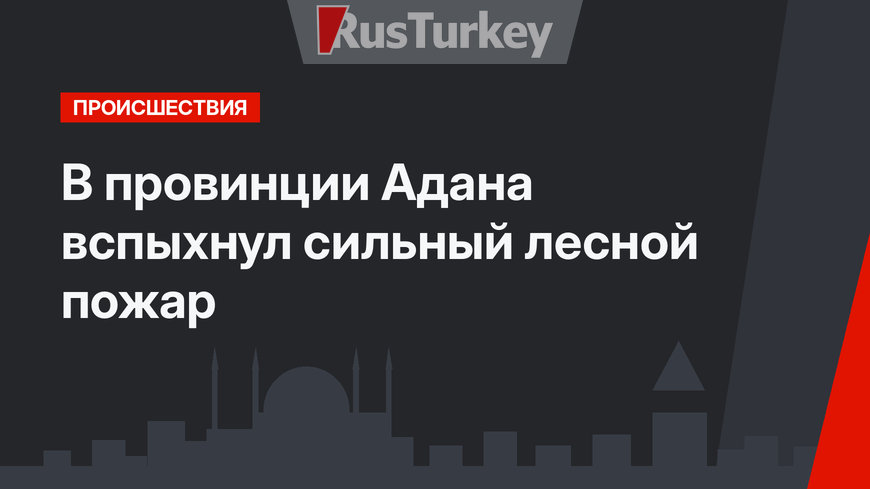 В провинции Адана вспыхнул сильный лесной пожар