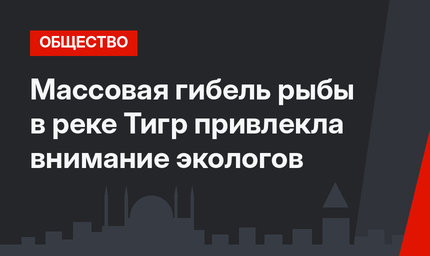 Массовая гибель рыбы в реке Тигр привлекла внимание экологов