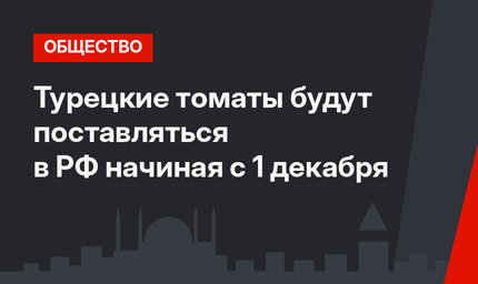 Турецкие томаты будут поставляться в РФ начиная с 1 декабря