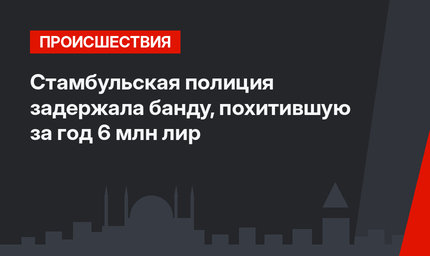 Стамбульская полиция задержала банду,  похитившую за год 6 млн лир
