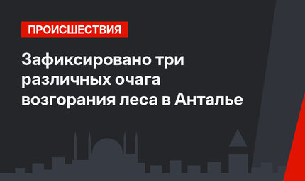Зафиксировано три различных очага возгорания леса в Анталье