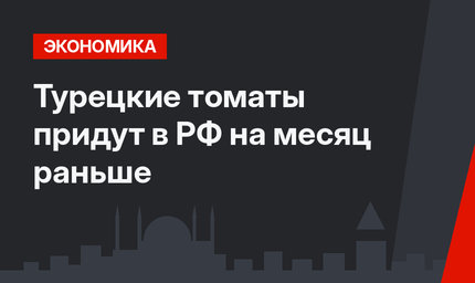 Турецкие томаты придут в РФ на месяц раньше