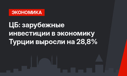 ЦБ: зарубежные инвестиции в экономику Турции выросли на 28,8%