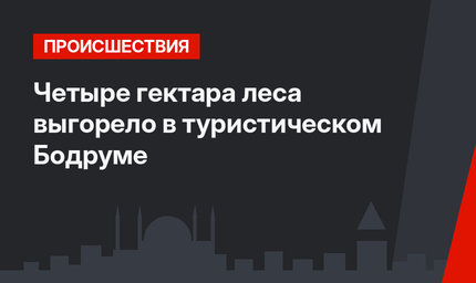 Четыре гектара леса выгорело в туристическом Бодруме