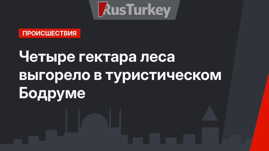 Четыре гектара леса выгорело в туристическом Бодруме