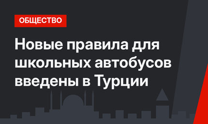 Новые правила для школьных автобусов введены в Турции
