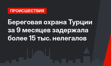 Береговая охрана Турции за 9 месяцев задержала более 15 тыс. нелегалов