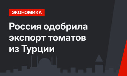 Россия одобрила экспорт томатов из Турции