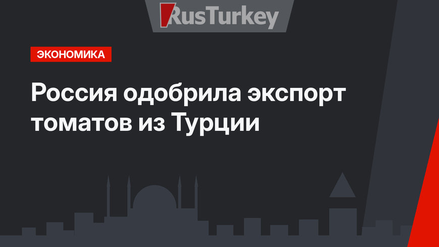 Россия одобрила экспорт томатов из Турции