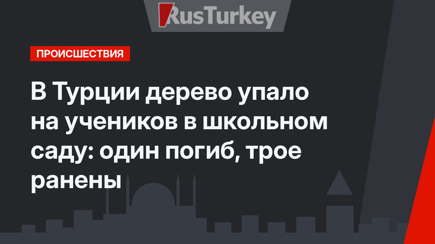 В Турции дерево упало на учеников в школьном саду: один погиб, трое ранены