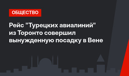 Рейс "Турецких авиалиний" из Торонто совершил вынужденную посадку в Вене