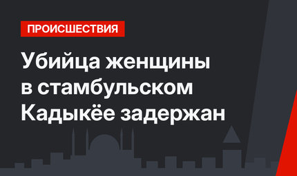 Убийца женщины в стамбульском Кадыкёе задержан