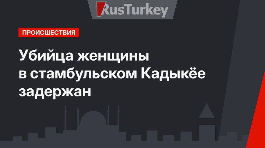 Убийца женщины в стамбульском Кадыкёе задержан