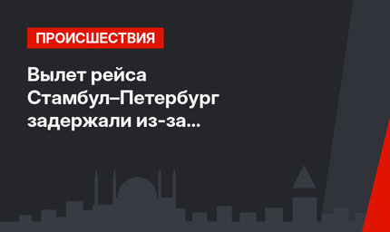 Вылет рейса Стамбул–Петербург задержали  из-за подозрительной пассажирки на 5 часов 