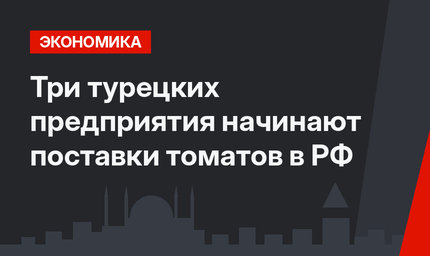 Три турецких предприятия начинают поставки томатов в РФ