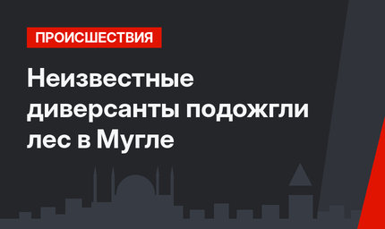 Неизвестные диверсанты подожгли лес в Мугле