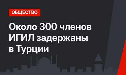 Около 300 членов ИГИЛ задержаны в Турции