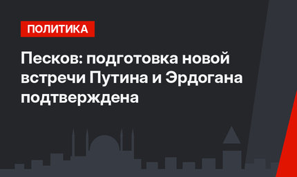Песков: подготовка новой встречи Путина и Эрдогана подтверждена