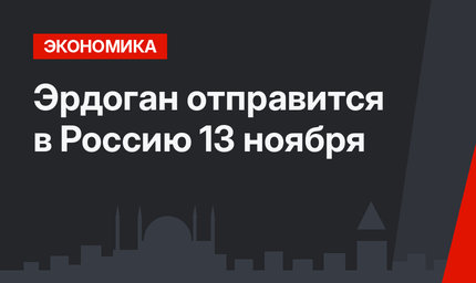 Эрдоган отправится в Россию 13 ноября