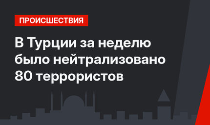 В Турции за неделю было нейтрализовано 80 террористов