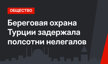 Береговая охрана Турции задержала полсотни нелегалов