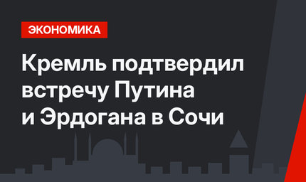 Кремль подтвердил встречу Путина и Эрдогана в Сочи 