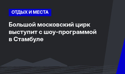 Большой московский цирк выступит с шоу-программой в Стамбуле