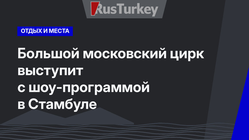 Большой московский цирк выступит с шоу-программой в Стамбуле