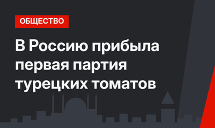 В Россию прибыла первая партия турецких томатов